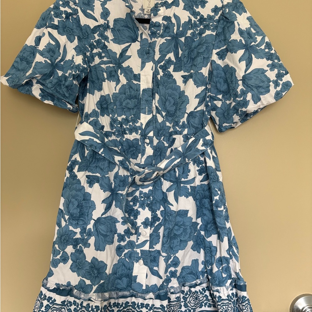 Joie Blue and White Dress